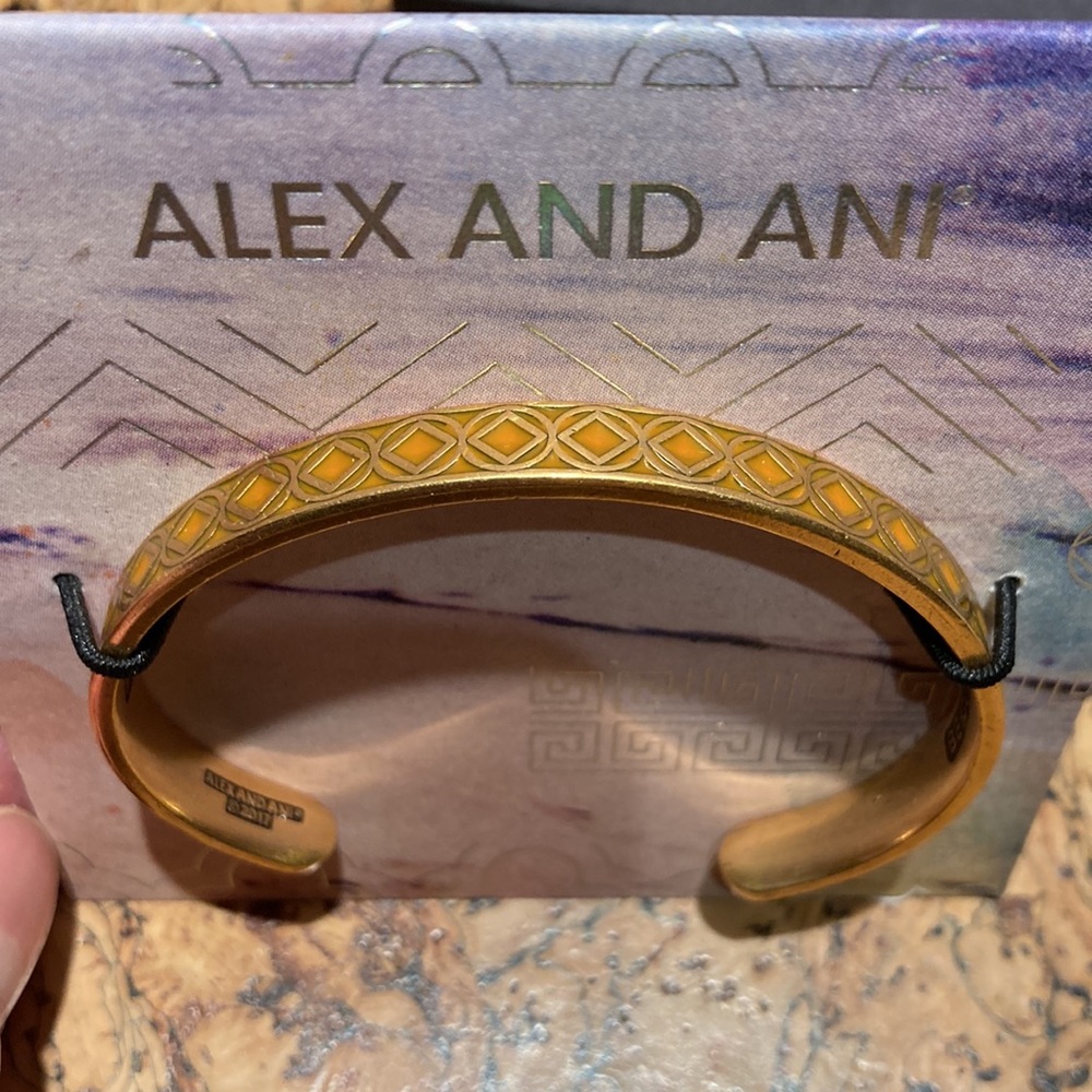 NEW Alex and Ani Bracelet